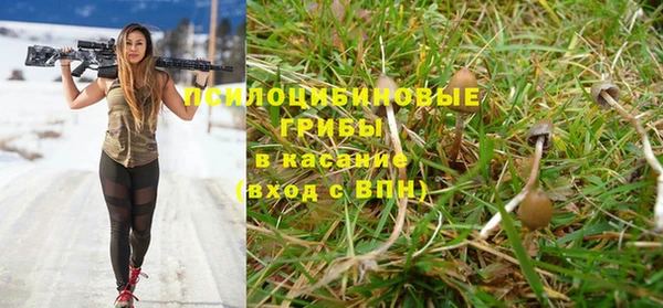 apvp Алексин
