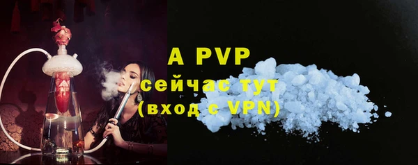 apvp Алексин